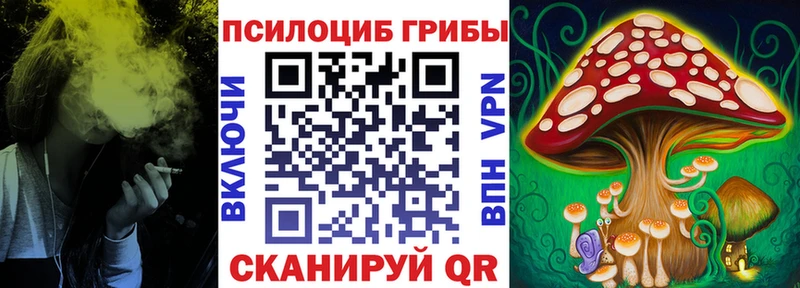 Псилоцибиновые грибы GOLDEN TEACHER  хочу наркоту  Апатиты 